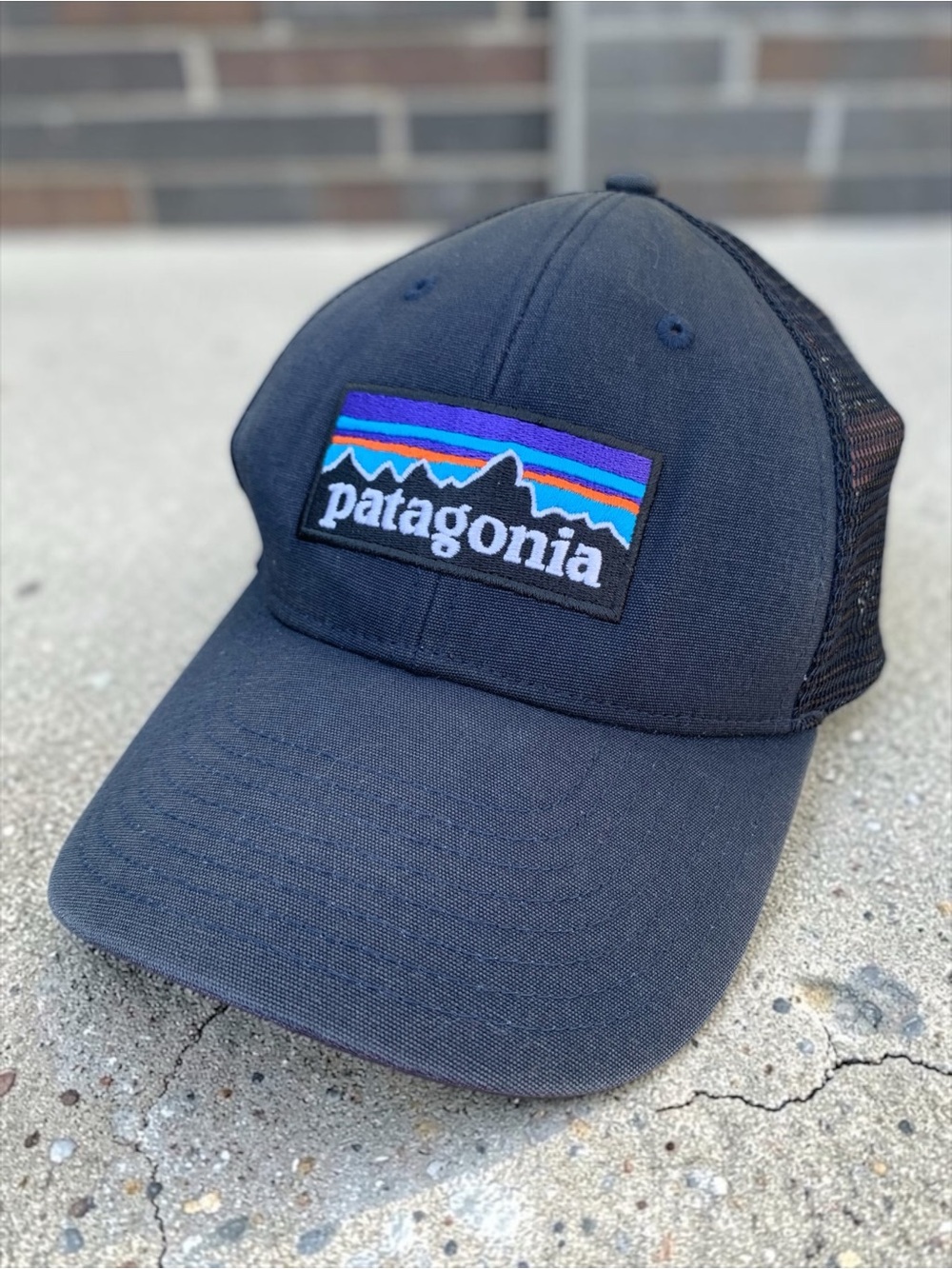 Patagonia Navy Blue SnapBack Hat